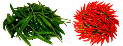 Fresh Green Chilli - Grace Tradelinks