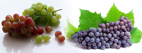 fresh Indian grapes